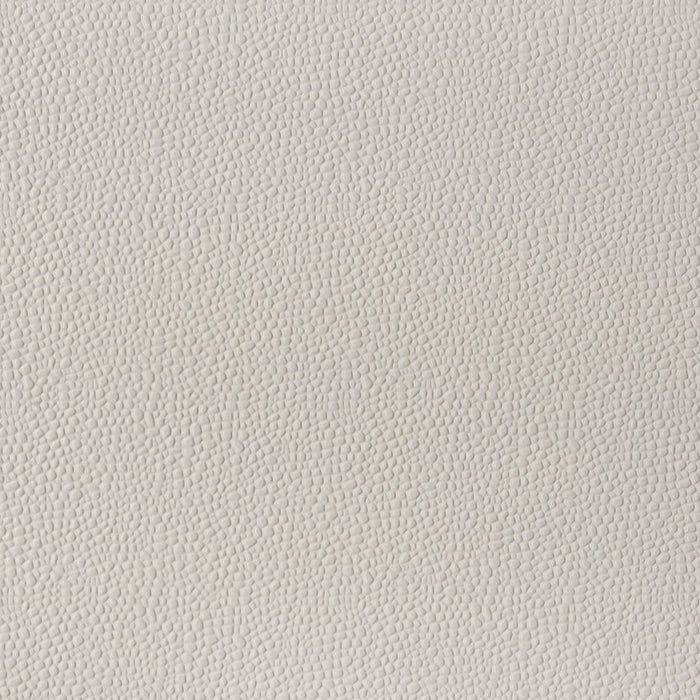 Olivia Panel Bed with LED Lighting