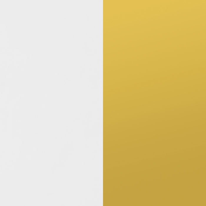 Elsa 2-door Accent Cabinet with Adjustable Shelves White and Gold