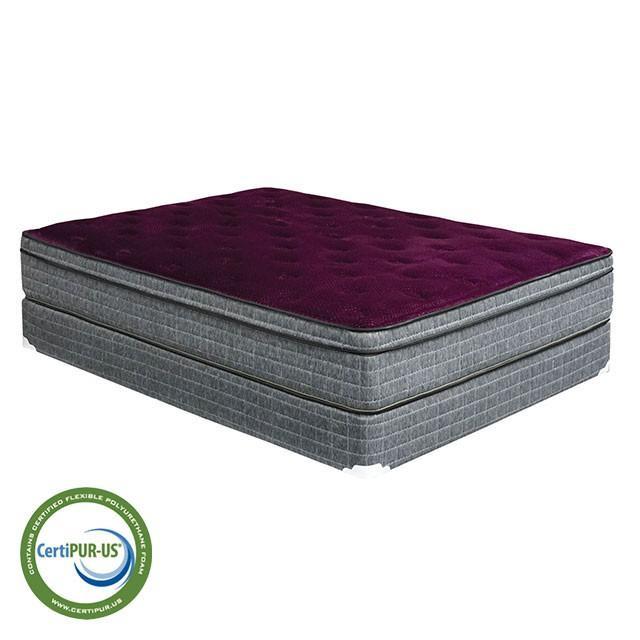 Minnetonka Purple 13" Euro Pillow Top Mattress, Cal.King